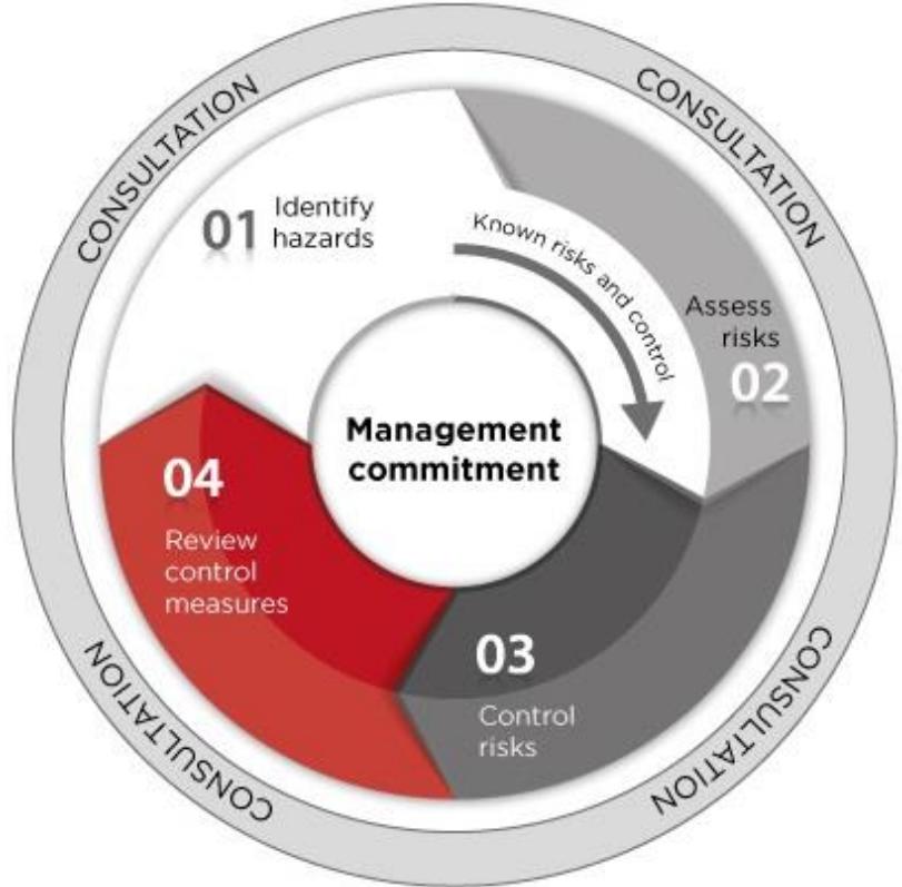 The risk management process